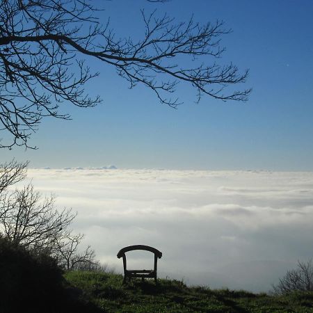 Montalma Bed and Breakfast Monchique Εξωτερικό φωτογραφία